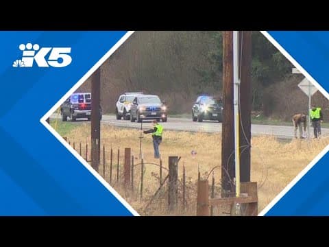 BREAKING: Troopers investigating deadly hit-and-run in Granite Falls