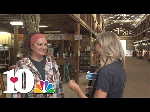 Horse Haven of Tennessee's event gives back to a great cause