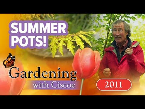 Make a summer pot! | Gardening with Ciscoe | Full episode