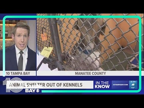 'Urgent call for help': Manatee County animal shelter says it's out of room to take in dogs