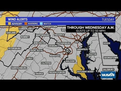 WATCH LIVE: Heavy rain continues across DMV