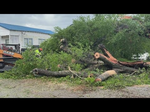 Tree marked for removal crushes New Orleans home during storms