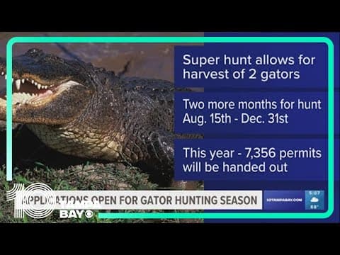 New Alligator Super Hunt permit applications open Friday