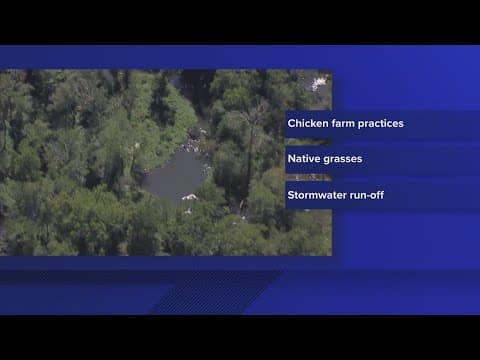 Nearly $10 million to be used to restore the Chesapeake Bay from EPA, National Fish and Wildlife Fou