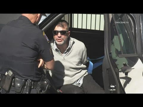 Cell phone video captures driver of stolen van on rampage