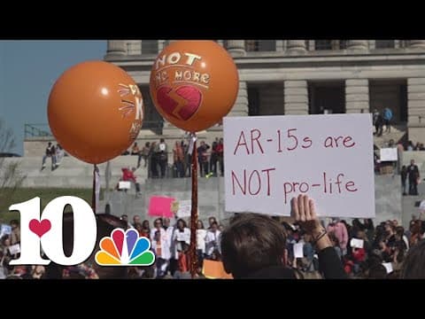 Gun safety expected to be introduced in legislative sessions