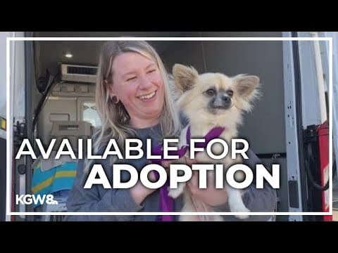 More shelter animals arriving from California to Oregon