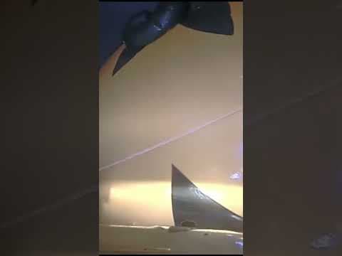 Dashcam video shows Ohio officer attempting to wrangle inflatable 'runaway pumpkin' #shorts