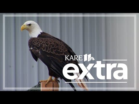 Saving a Bald Eagle, Surviving an Arrow and Curing New Diseases with AI | KARE 11 Extra