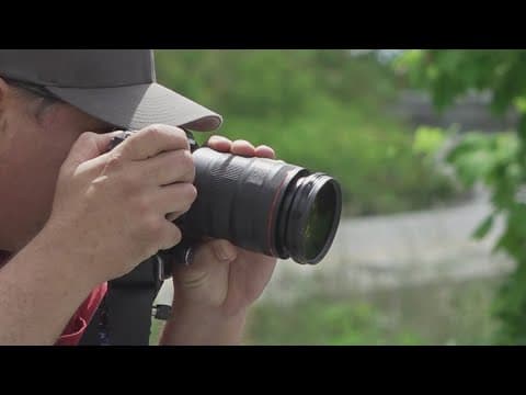 10About Town Staycation: Capturing the perfect shot in Cades Cove