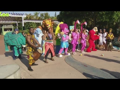 San Diego Tourism Authority says 2022 brought in record tourism revenue