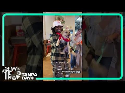 Lost #dog reunited with its owner at animal shelter #shorts