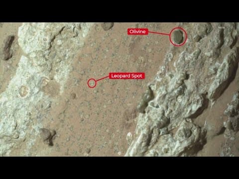 Purdue University professor helping discover ancient life on Mars