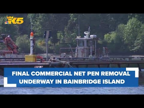 DNR says final commercial net pen removal underway near Bainbridge Island
