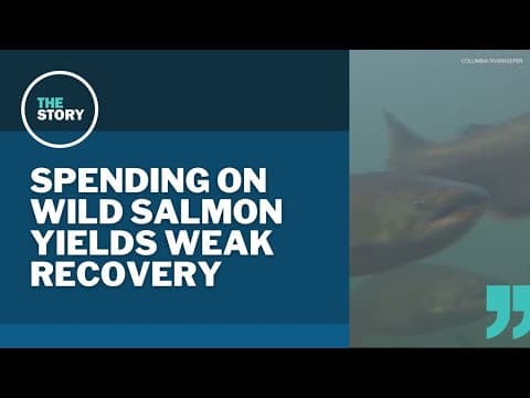 Oregon salmon populations improving, but study finds little direct connection to billions spent on r