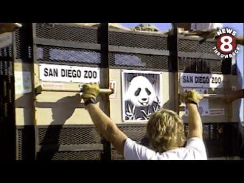 Giant Pandas arrive at San Diego Zoo in 1996