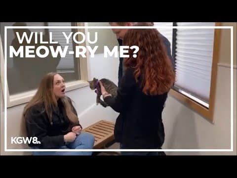 Couple gets engaged at Oregon Humane Society