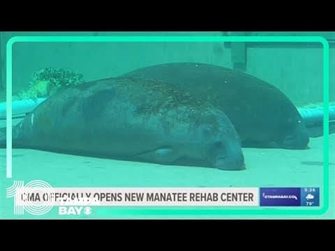 Clearwater Marine Aquarium opens new Manatee Rehabilitation Center to the public