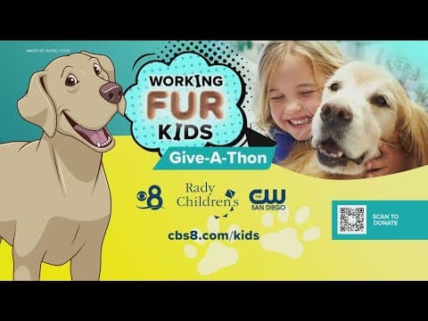 Working Fur Kids | Raising money for a new canine therapy program at Rady Children's