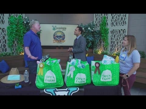 Pupologie Cardiff Dog Days of Summer returns August 14