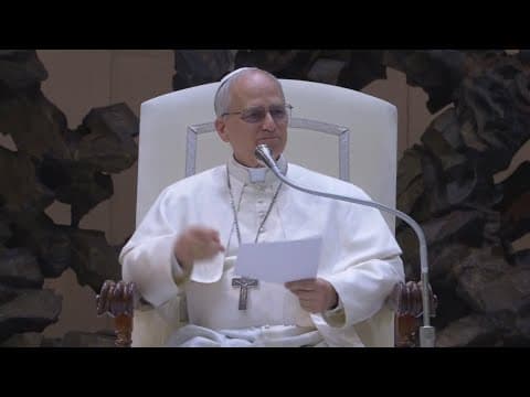 Kin at the Vatican: New Orleans man shares ancestor with Pope Leo XIV