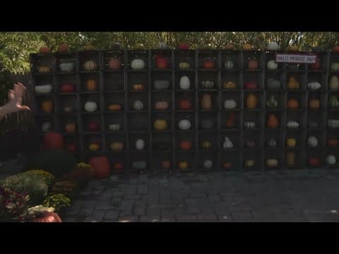 Bye-bye Summer, hello Fall! Visit Nalls Produce in Alexandria