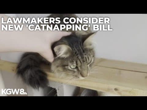 Oregon lawmakers consider bill aimed at protecting animal shelters from lawsuits