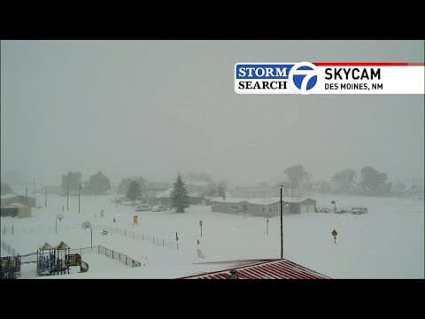 Snow falls along New Mexico-Texas border