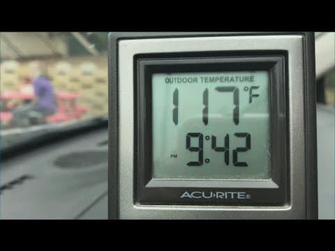 Rancho Coastal Humane Society reminds people to not leave pets or children in hot cars