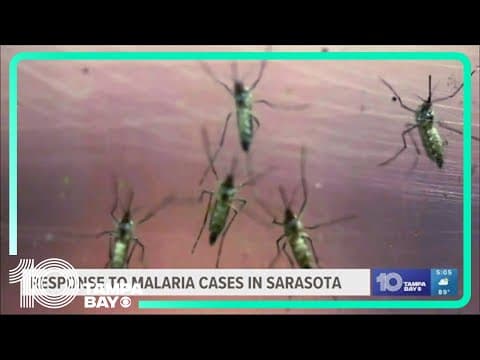 Sarasota county officials respond to Malaria cases