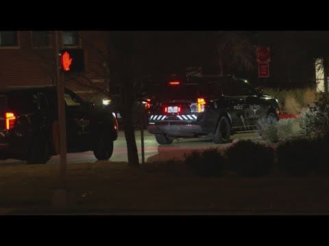 Fort Worth officers led on chase, 28-year-old woman found dead in suspect's home, police say