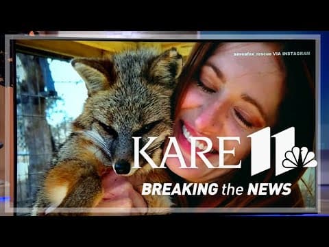 'Save a Fox Rescue' founder Mikayla Raines dies at 29