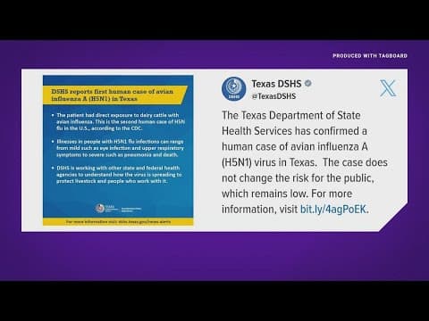 Texas reports its first human case of bird flu