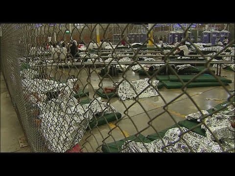 Incoming Trump administration official reveals immigration plans