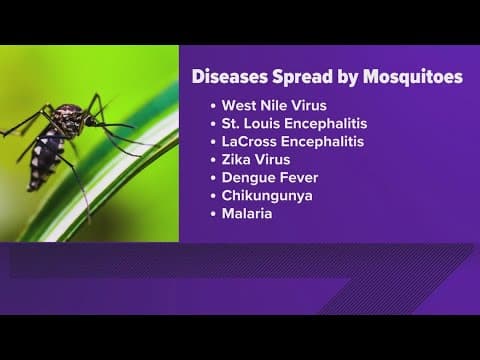Mosquito-borne illnesses: What to know