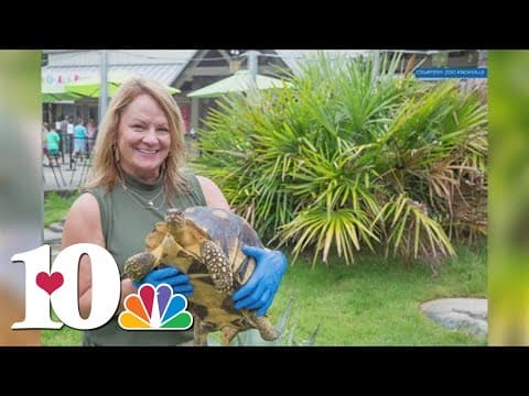 Lisa New reflects on her time at Zoo Knoxville