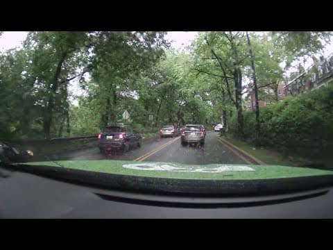 Light ponding along Rock Creek Park | LIVE ECO9