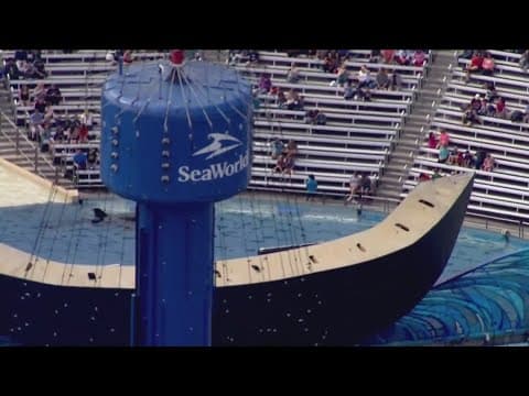 City of San Diego plans to file lawsuit if SeaWorld's $12M back rent is not paid by September 6