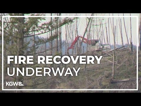 Santiam Canyon restored slightly from devastating fire