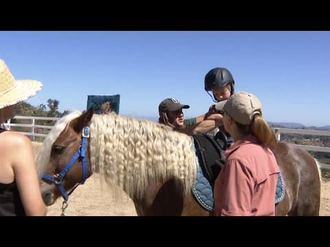 Valley Center horse ranch seeking volunteers amid high demand