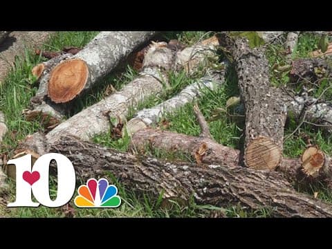 Knox County to begin green waste removal for county homeowners