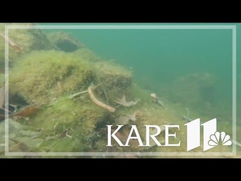 Focus on invasive species after strange winter