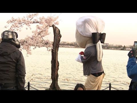Nationals Racing Presidents visit Stumpy at Tidal Basin