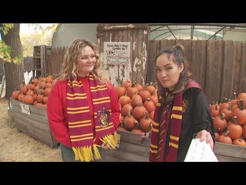 Have a very Harry Potter Halloween at Marshall’s Farm Market