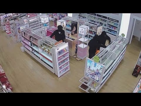 Fairfax Co. Police applying Tysons Urban Team model in other shopping center districts