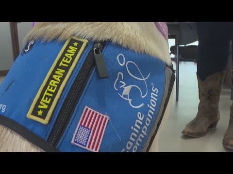 Texas Veterans Commission launches program to connect veterans with service dogs