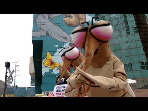 PETA protests Audubon Insectarium's use of cicadas on its café menu