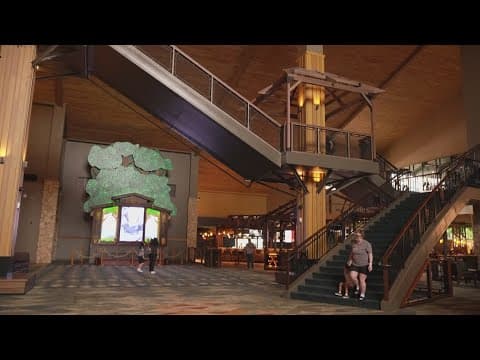 Great Wolf Lodge has new attractions for the perfect staycation