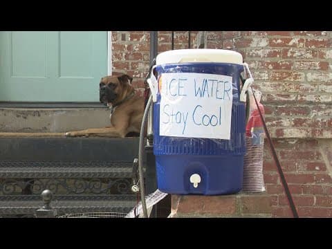 Heat wave continues in DC