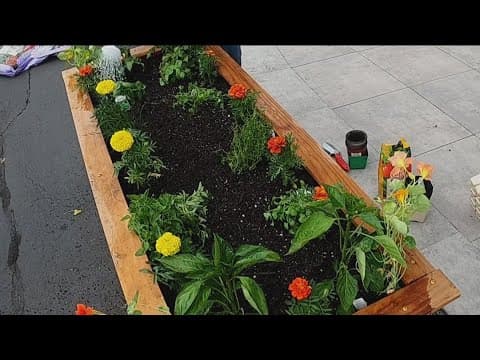 Gardening tips for your apartment, condo or outdoor space